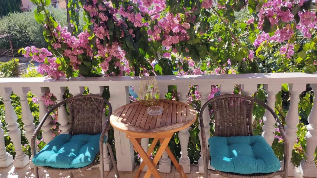 Toto Apartments زادار المظهر الخارجي الصورة